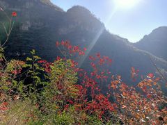 -狼牙山风景区