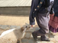 -疏芬山金矿