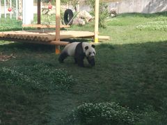 -西安秦岭野生动物园