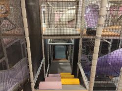-meland club亲子乐园(重庆万象城店)