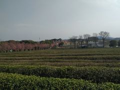 -凤凰沟景区