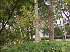 -秋霞圃