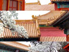 -故宫博物院(故宫)