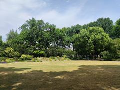 -上海醉白池公园