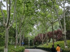 -西安市长乐公园