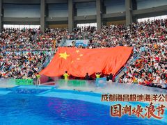 -海合安成都极地海洋公园