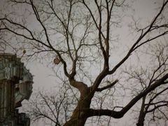 -王府井天主教堂