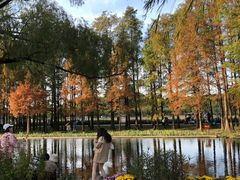 -共青国家森林公园-游客服务中心