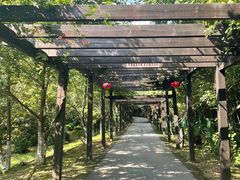 -九龙潭景区