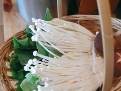 -同仁四季椰子鸡(宝安壹方城店)