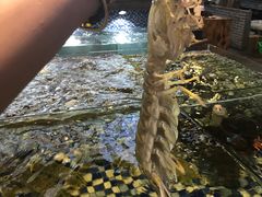 -顺德了能馆(虎门店)