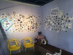 -喵屿·大理花园猫咖