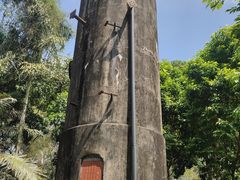 -广西壮族自治区药用植物园