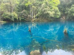 -邹胖哥好好吃餐馆(荔波美食街店)