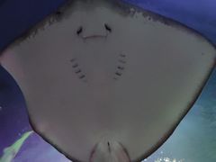 -沈阳海洋探索中心