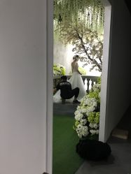 点击看大图 -艺匠摄影ARTIZ STUDIO(南京店)