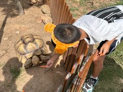 -西霞口神雕山野生动物世界
