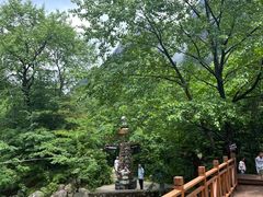 -青峰峡国家森林公园