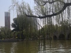 -迎泽公园