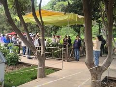 -洛阳市隋唐城遗址植物园