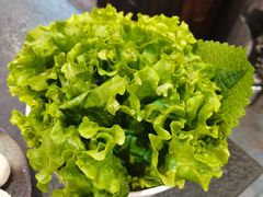 生菜-韩云龙炭火烤肉(东陵西路店)