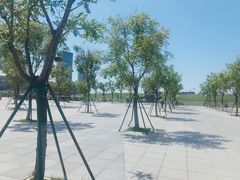 -东港音乐喷泉广场