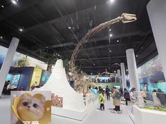 -国家自然博物馆