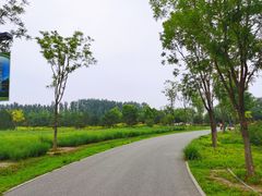 -东郊湿地公园