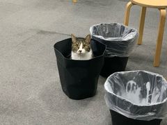 -青沐画室·专业美术培训