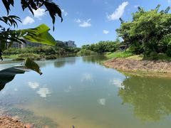 -福田红树林生态公园
