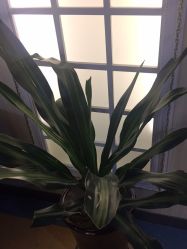 点击看大图 -安徽合肥韩美整形外科医院