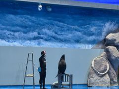 -福州罗源湾海洋世界旅游区