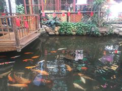 -鹅城