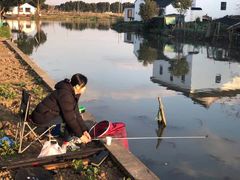 -水岸居湖景农家乐·阳澄湖大闸蟹