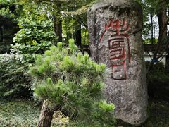 -南山植物园
