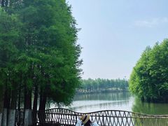 -厦门园林博览苑