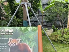 -成都动物园