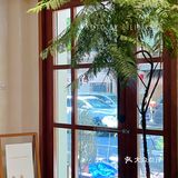 佛山叹啡 | 误入美丽花丛