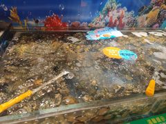 -亚马逊海鲜自助(梅溪湖步步高店)