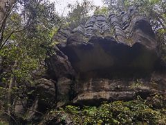 -梭布垭石林景区