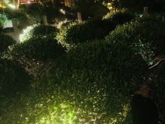 -十八棵（老龙井）御茶园(老龙井店)