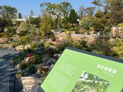 -上海植物园-4号门售票处