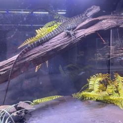 -Zoolung Zoolung动物主题公园(海信广场店)