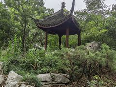 -上海醉白池公园