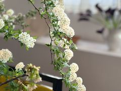 -设计共和 Design Republic(江宁路店)