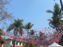 -西双版纳傣族园
