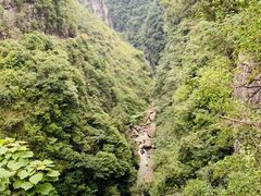 -蝶舞清江·恩施地心谷景区
