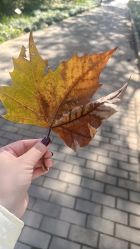 -EMILY艾枚莉美甲美睫·美颜·现磨咖啡