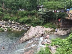 -宁波浙东大竹海景区