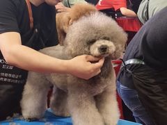 -东浩兰生上海世博展览馆